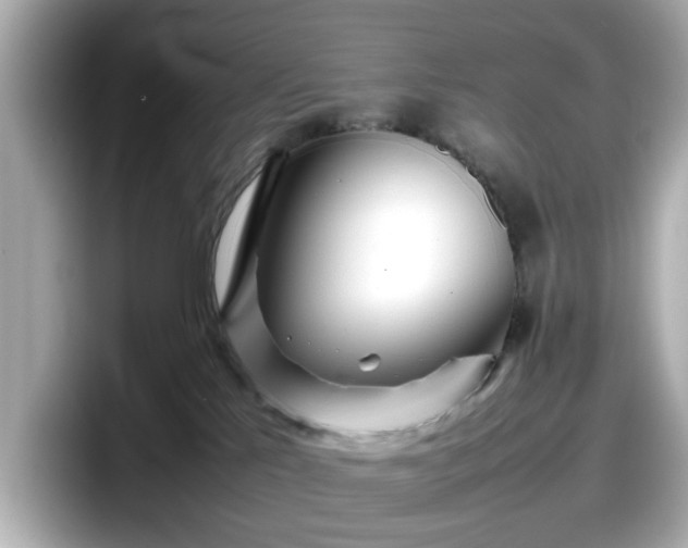 X0000098120041200804111124