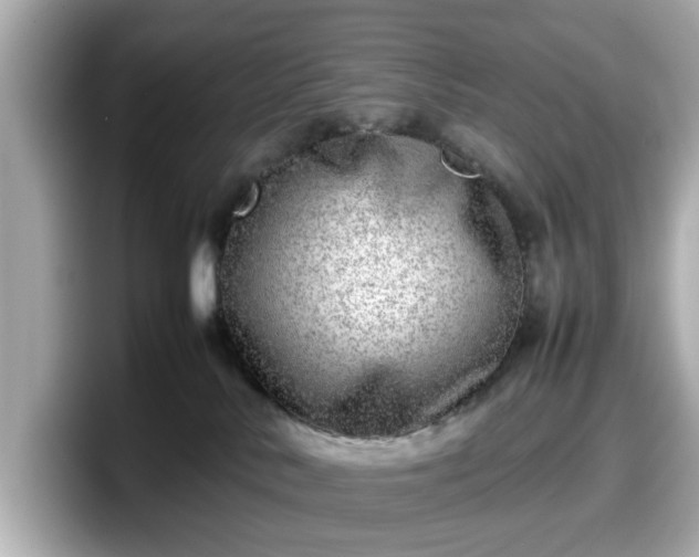 X0000098120042200804111124