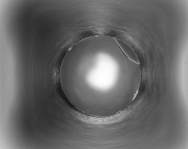 X0000098120043200804111124