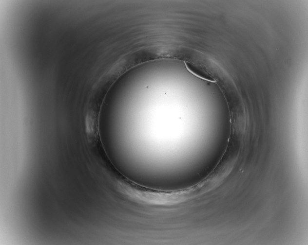 X0000098120044200804111124