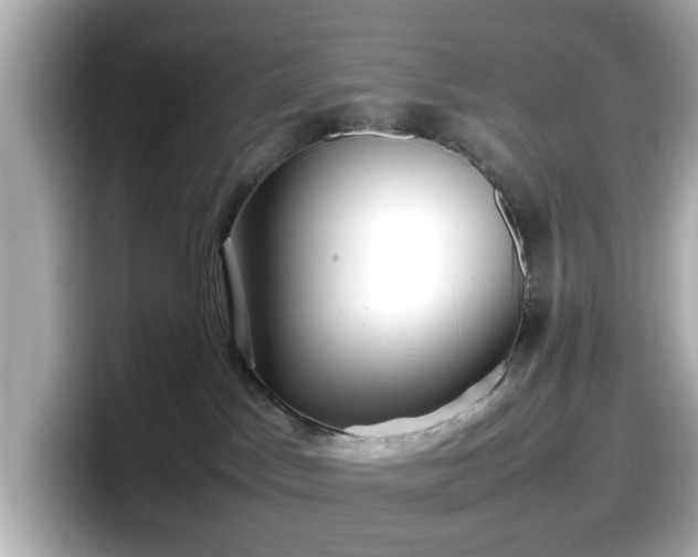 X0000098120045200804111124