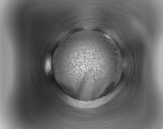 X0000098120046200804111124