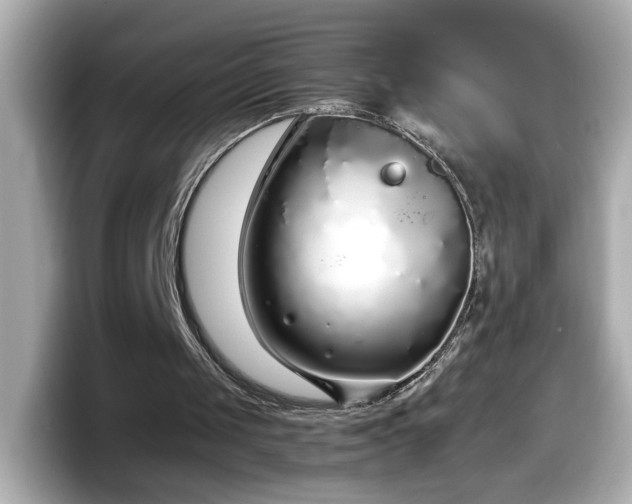 X0000098120049200804111123