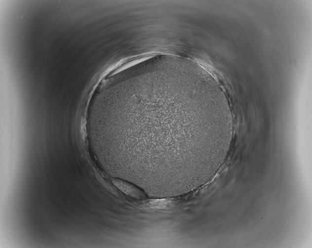 X0000098120050200804111123