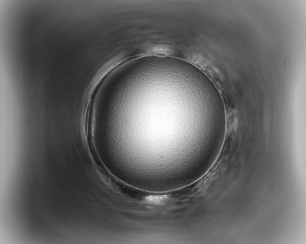 X0000098120051200804111123