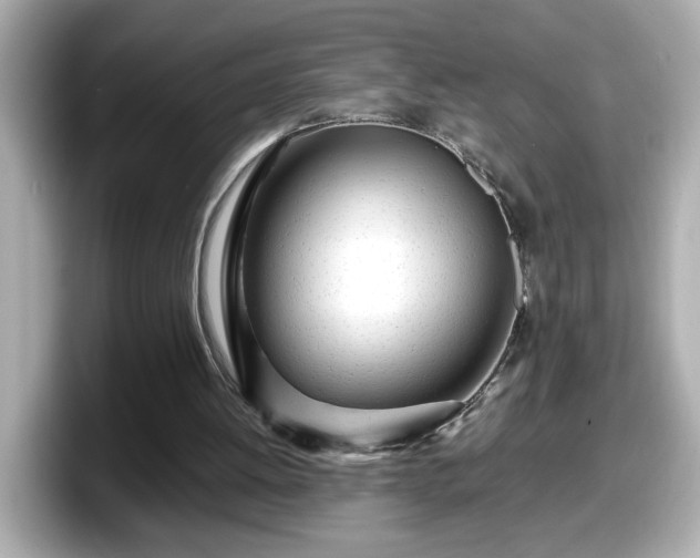 X0000098120052200804111123