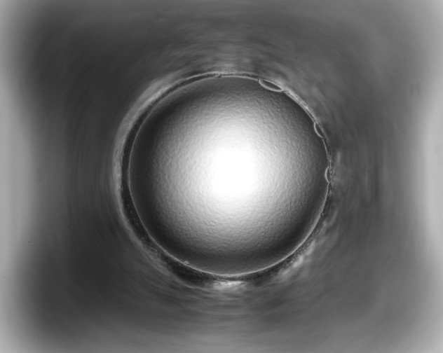X0000098120055200804111123