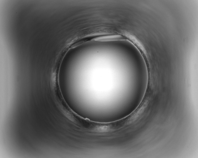 X0000098120057200804111123