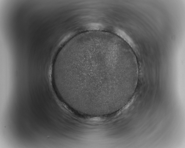 X0000098120058200804111123