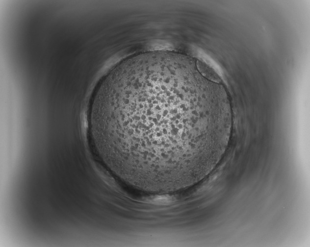 X0000098120059200804111123