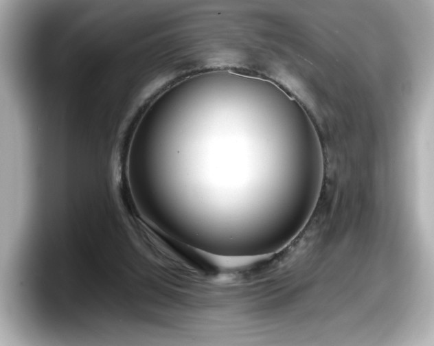 X0000098120060200804111123