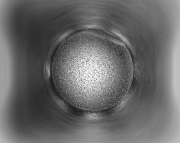 X0000098120062200804111123