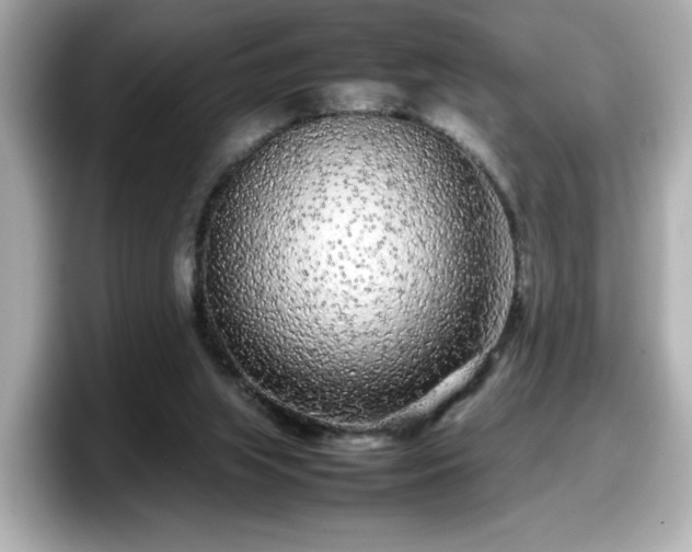 X0000098120063200804111123