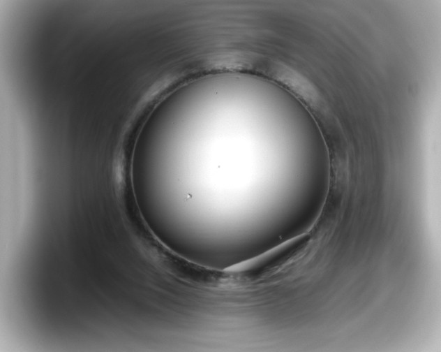 X0000098120064200804111123