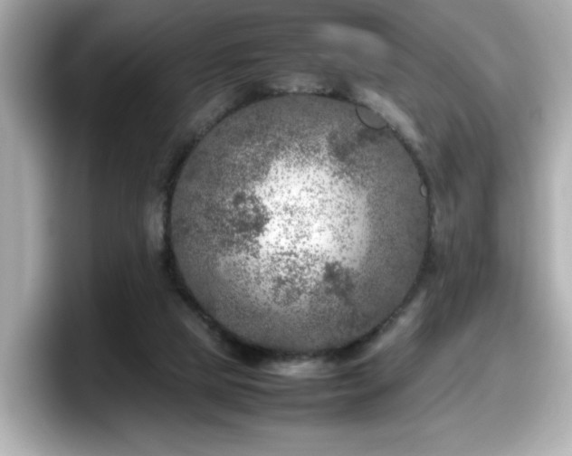 X0000098120065200804111123
