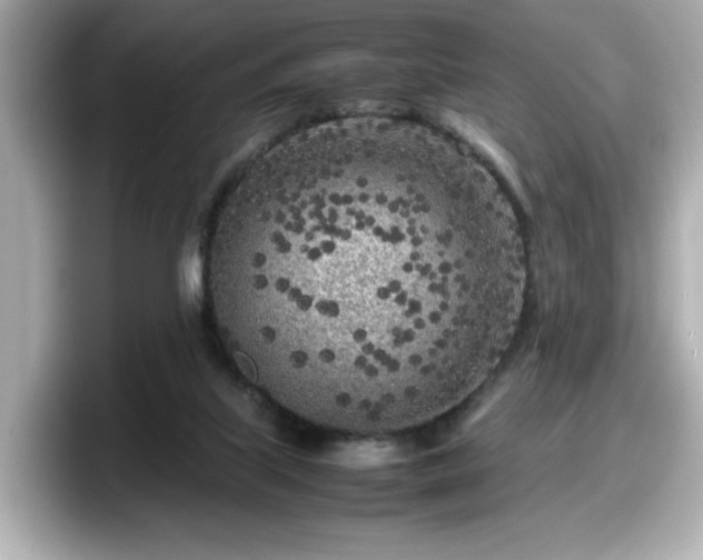 X0000098120067200804111123