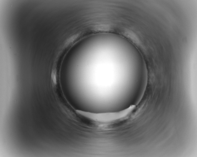 X0000098120068200804111123