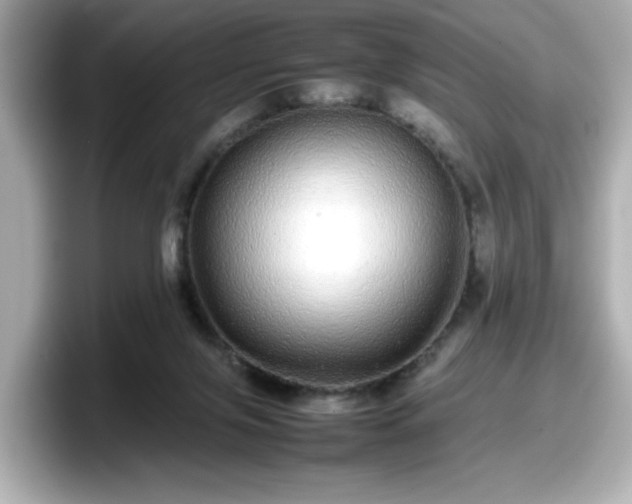 X0000098120071200804111123