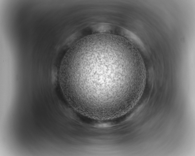 X0000098120073200804111123