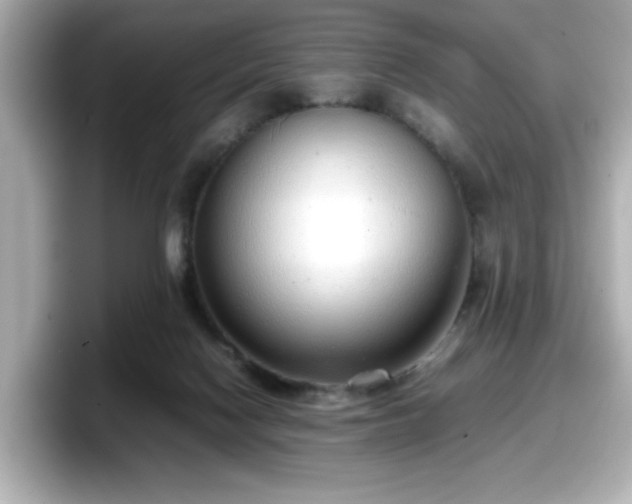 X0000098120074200804111123