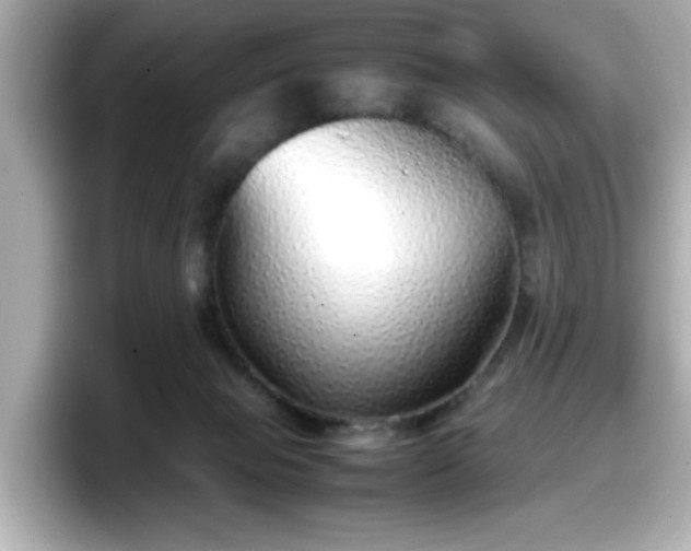 X0000098120077200804111123