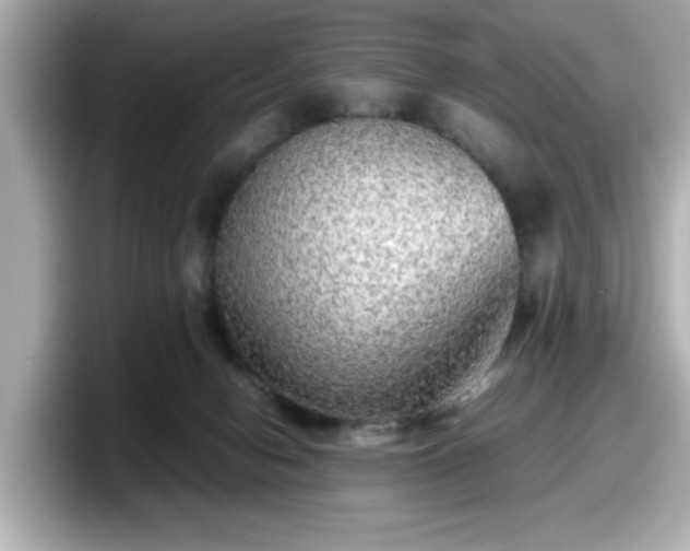 X0000098120078200804111123