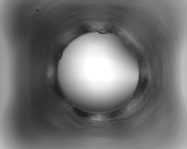 X0000098120079200804111123