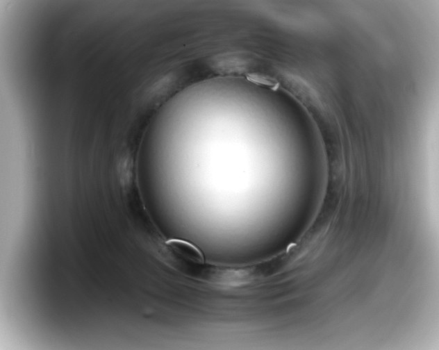 X0000098120081200804111123
