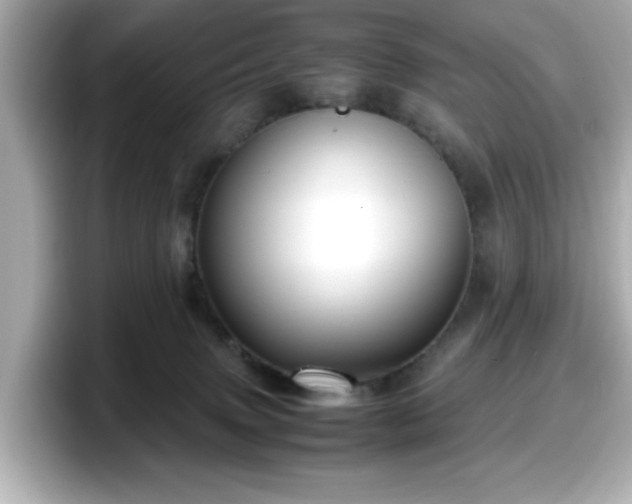 X0000098120083200804111124