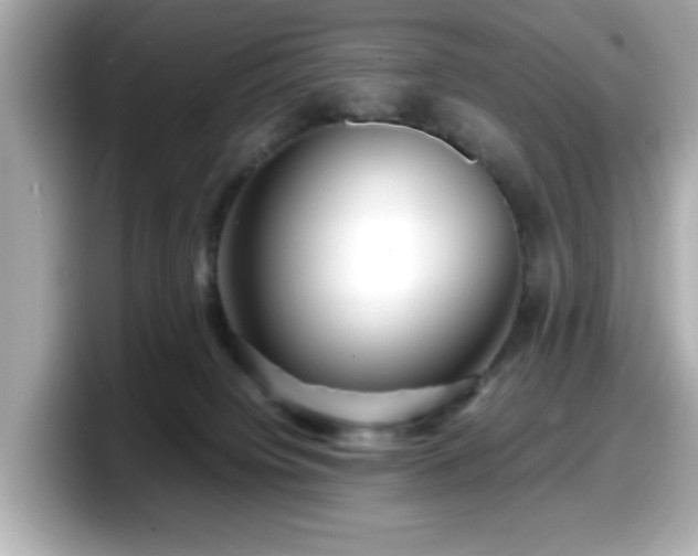 X0000098120084200804111124