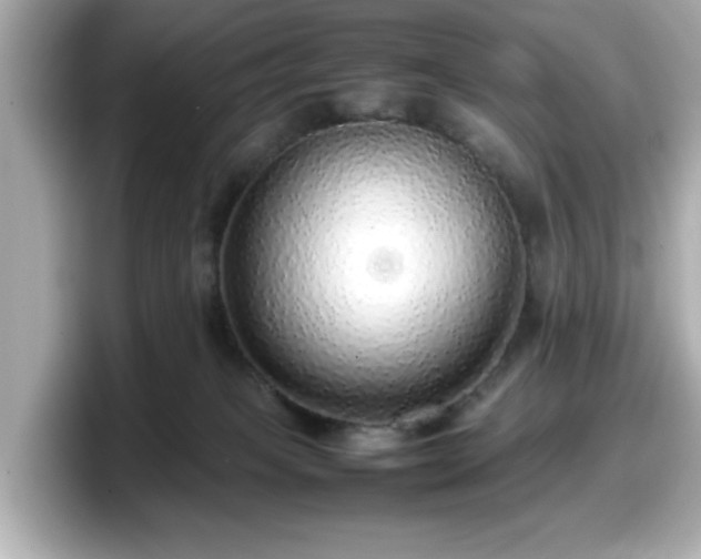 X0000098120085200804111124