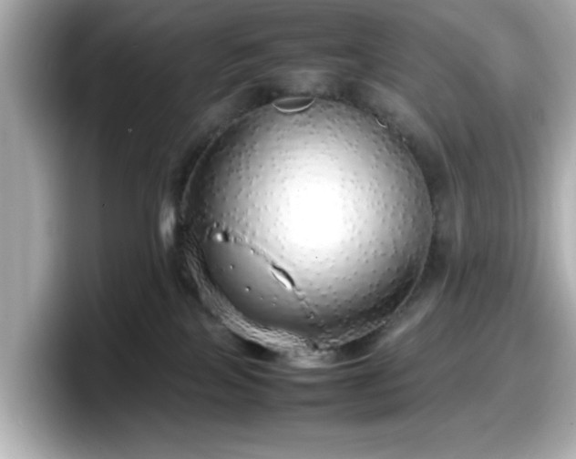 X0000098120089200804111124