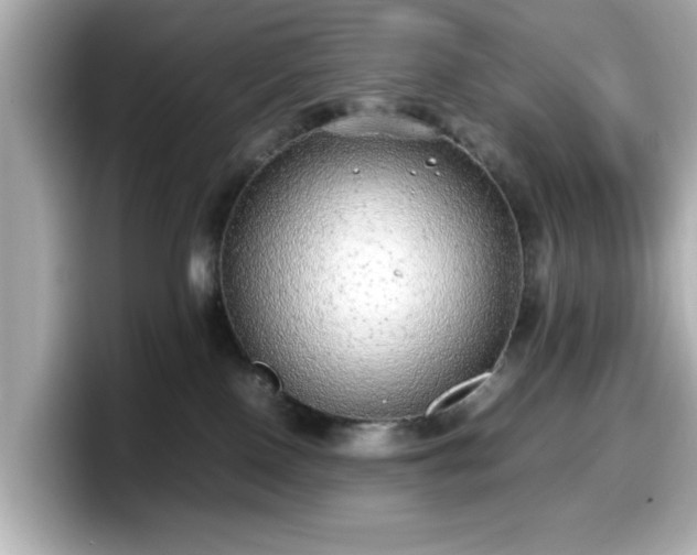 X0000098120090200804111124