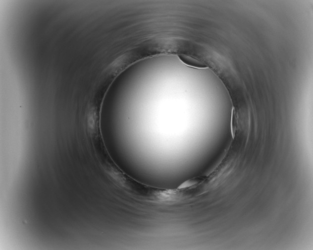 X0000098120092200804111124