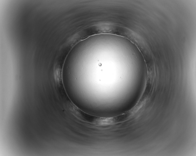 X0000098120093200804111124