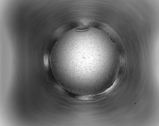 X0000098120094200804111124