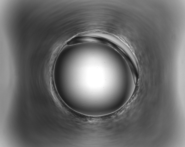 X0000098120097200804111123