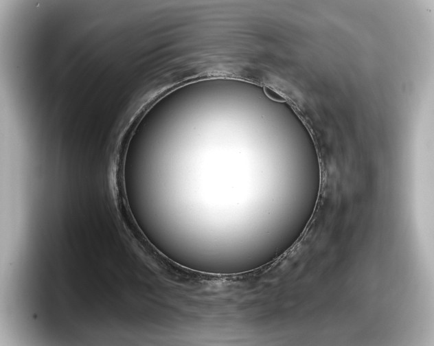 X0000098120098200804111123