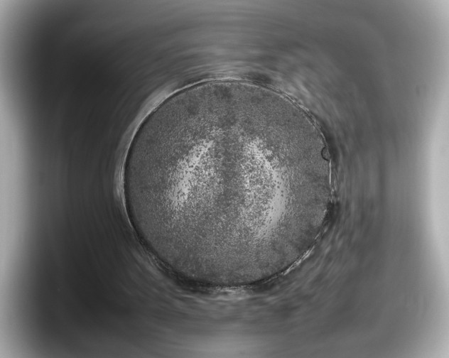 X0000098120099200804111123