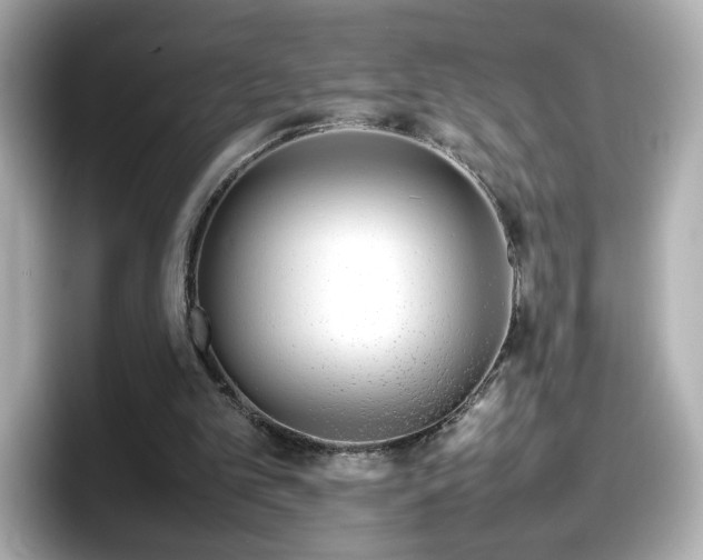 X0000098120101200804111123