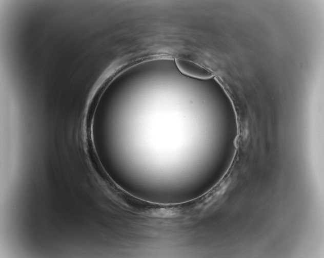 X0000098120102200804111123