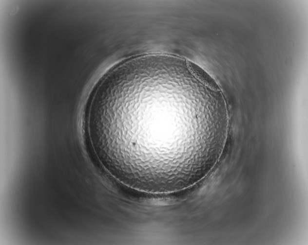 X0000098120103200804111123