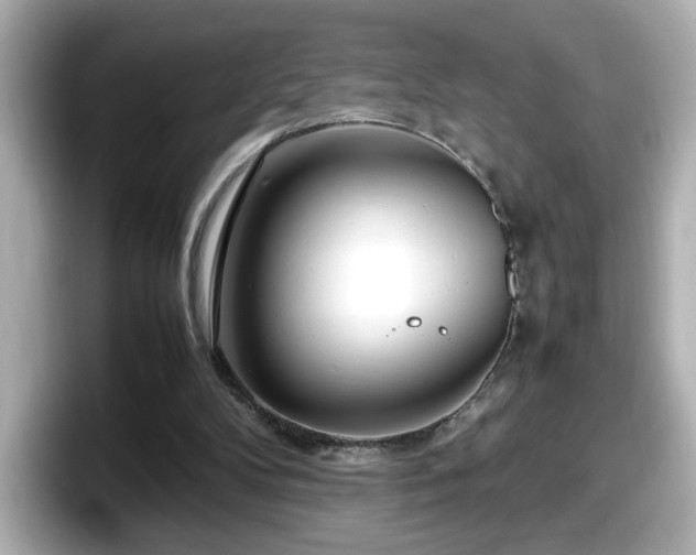 X0000098120104200804111123