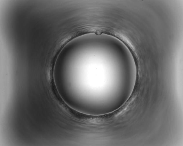 X0000098120105200804111123
