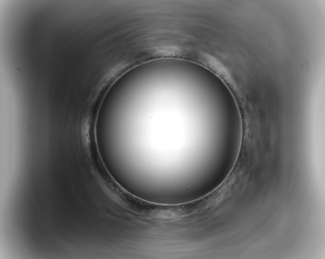 X0000098120106200804111123
