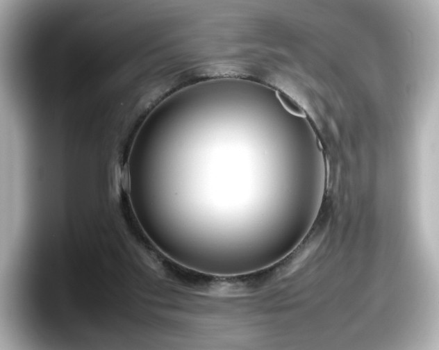 X0000098120109200804111123