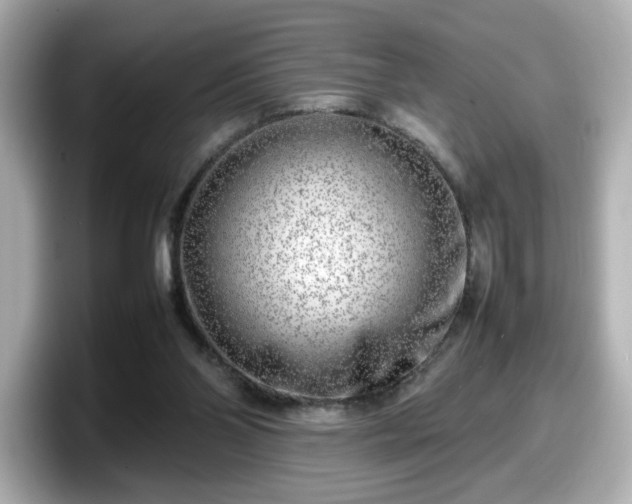 X0000098120110200804111123