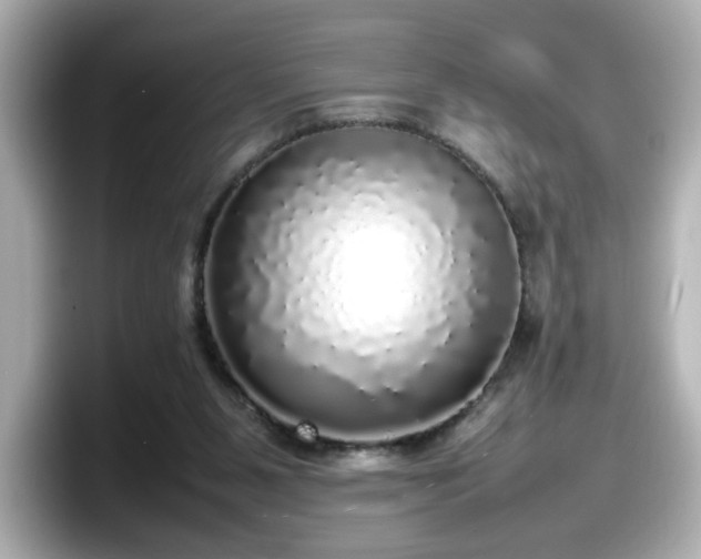 X0000098120111200804111123