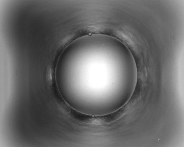 X0000098120115200804111123