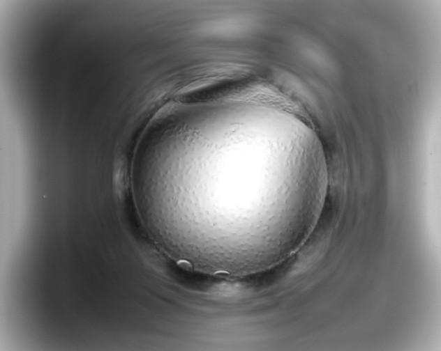 X0000098120119200804111123
